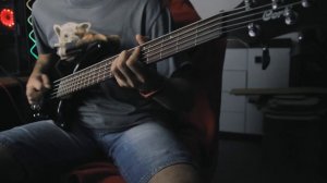 Король и Шут - Садовник (Бас)