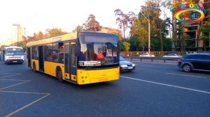 Учим цвета и машинки. Логика для детей - Что лишнее