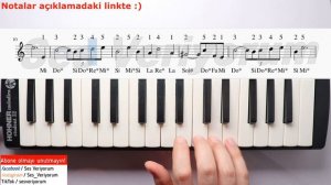 Umutsuz Aşk - YALI ÇAPKINI Başlangıç Müziği Melodika Notaları