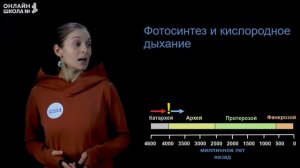 Основные этапы развития жизни на земле. Видеоурок 28. Биология 11 класс