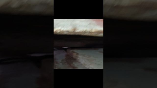 VID_20231129_121612.mp4 смотреть онлайн