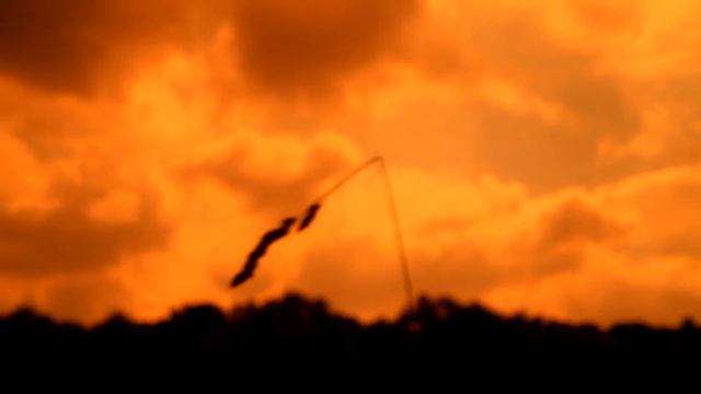 Полынь-трава (фантазии на стихотворение Ники Турбиной) смотреть онлайн