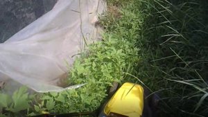 Подключение и начало работы электрокусторезом-газонокосилкой Леруа-Мерлен YT5139