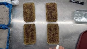 Микрозелень брокколи Инструкция по выращиванию | Народные Семена