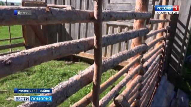 Правительство утвердило список потенциально опасных собак