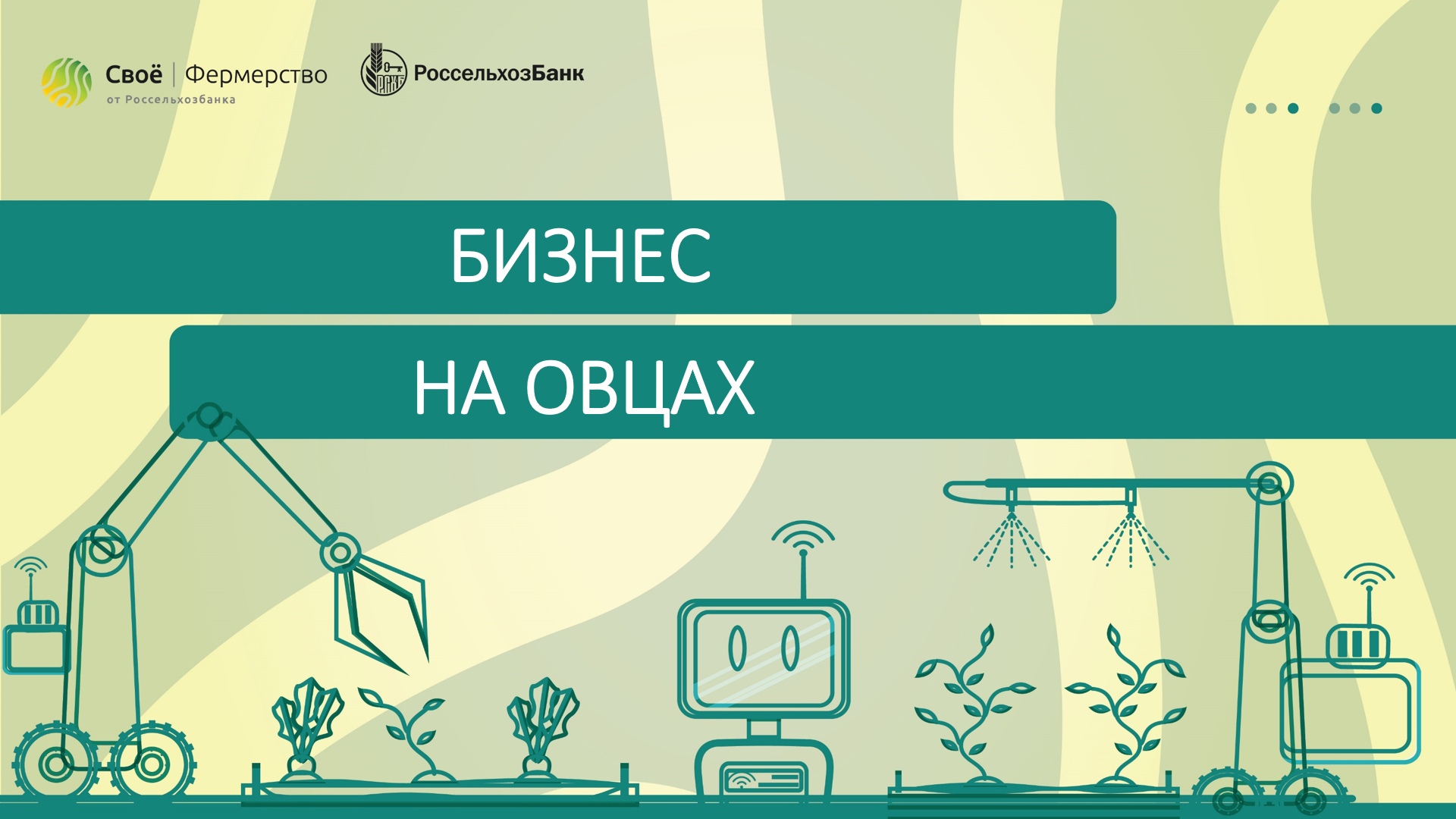 Бизнес на овцах