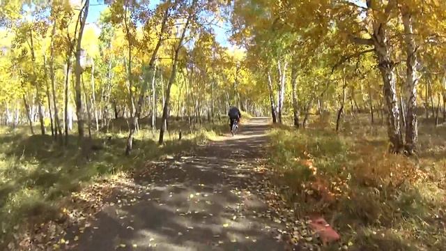 Покатушки на велосипеде смотреть онлайн