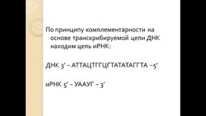 ЕГЭ биология/Задание 27/Биосинтез белка /Тип 2