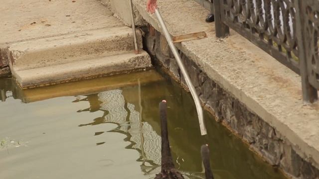 История одного сна ... Алина и Влад. смотреть онлайн