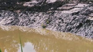 Делаем берег у пруда Экскаватором JCB ! Подключил  VidIQ