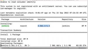 Jenkins Latest Version Installation - Linux Server - Mithun Technologies - 9980923226