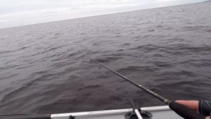 Ловля окуня в Сентябре. Ладожское озеро.