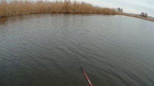 ЛОВЛЯ ЩУКИ на ЖЕРЛИЦЫ по ОТКРЫТОЙ ВОДЕ