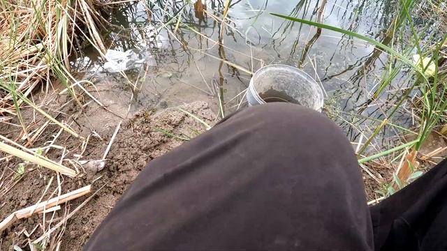 Рыбалка на поплавок в сентябре.Ловля окуня в диком месте
