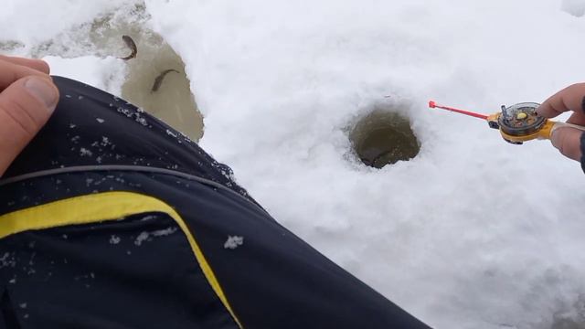 ЛОВЛЯ на МОРМЫШКУ! ГЛУХОЗИМЬЕ!  FISHING FOR MORMISHKA! DEAFLAND!