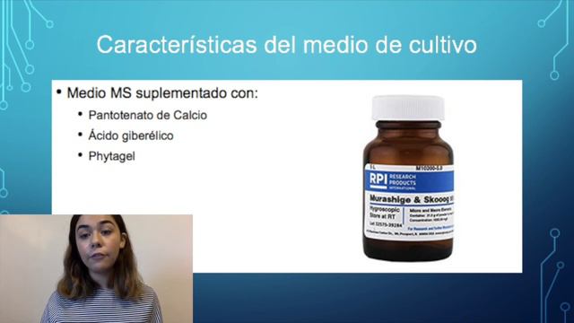 Micropropagación de Stevia rebaudiana смотреть онлайн