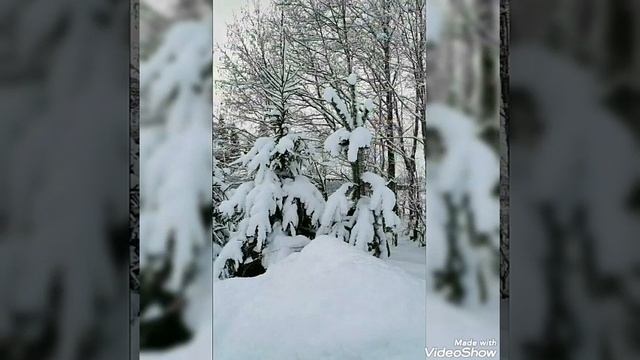 МОЯ НОВОСТЬ: ПАЛОМНИЧЕСТВО - ХРАМЫ ЛЕНИНГРАДСКОЙ ОБЛАСТИ ?