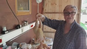 Бройлера тушка_разделать\как ощипать куру