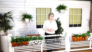 Подставки и ящики балконные  для Цветов ? Как Украсить Балкон ✔️ Garden-zoo.ru сад