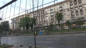 Опять не цветут каштаны