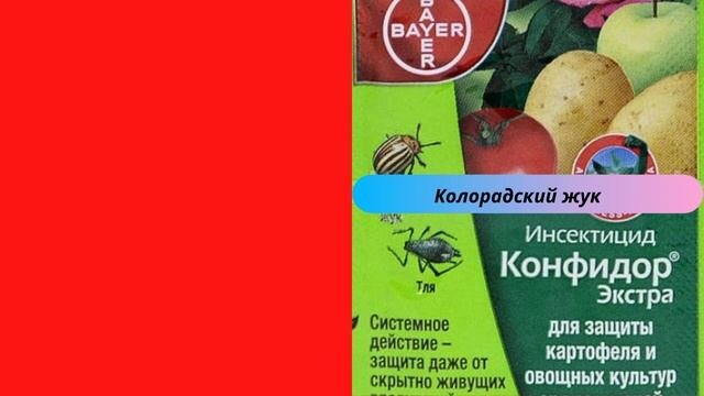 Как Избавится за 2 Минуты от КОЛОРАДСКОГО ЖУКА на Картошке! #жуки #колорадскийжук
