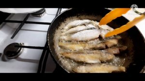 Жареная Сорога . свежий улов весной . вкусно