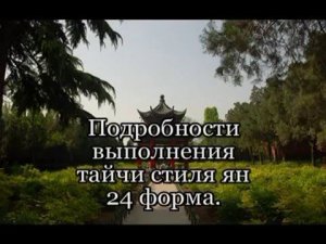 Тайцзи-цюань Ян 24ф. - подробности №1 формы с доктором Бутримовым. Ассоциация Даоинь России
