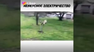 смешное видео про козу