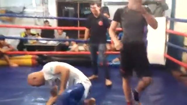 Ереке грэпплинг смотреть онлайн