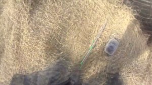 Загубье. В атаку за карасём