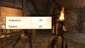 The Elder Scrolls IV: Oblivion - САМЫЙ СИЛЬНЫЙ ВОР И МАКСИМАЛЬНАЯ СКРЫТНОСТЬ