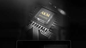 ЦАП SMSL SU-1. Малыш который может удивлять