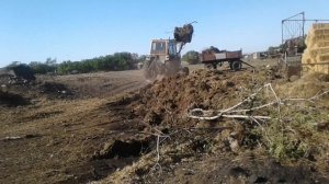 Жизнь в селе#Казахстан#Занимаемся навозными делами.