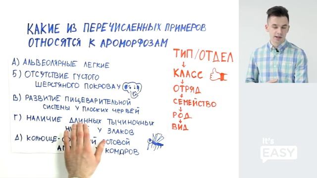 Как отличить ароморфозы и идиоадаптации в заданиях ЕГЭ по биологии?