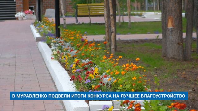 В МУРАВЛЕНКО ПОДВЕЛИ ИТОГИ КОНКУРСА НА ЛУЧШЕЕ БЛАГОУСТРОЙСТВО
