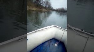 Лодка с мотором эвинруд 9.9 и Солар 350