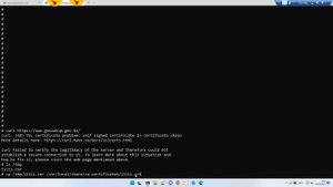 Linux - Добавить сертификат в доверенные