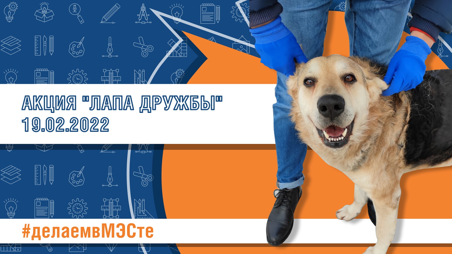 Акция «Лапа дружбы» 19.02.2022 смотреть онлайн