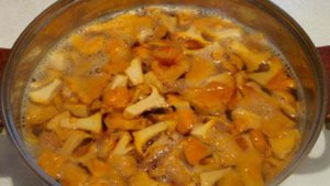 Маринованные лисички на зиму