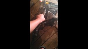 Замена подвесного и ступичных подшипников на Фьюжн, 2006 г.в, двс 1,6.