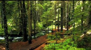 Муж вернулся из командировки раньше и ОСТОЛБЕНЕЛ, когда увидел как его Жена...