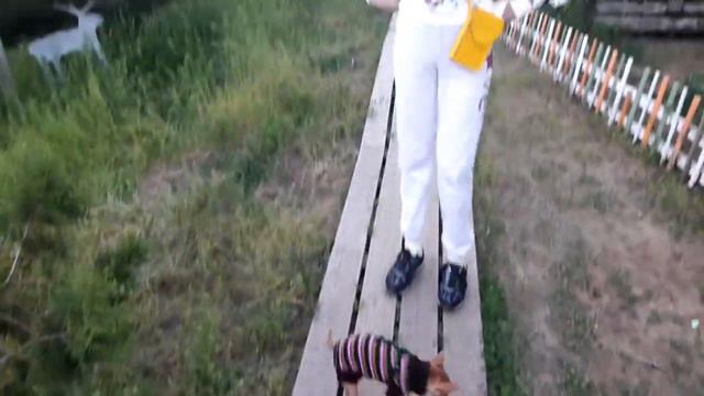 #1 VLOG ТУРБАЗА| 👽 смотреть онлайн