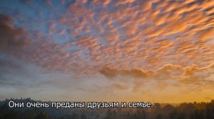 ВЕСЫ - 10 Фактов об этом знаке.