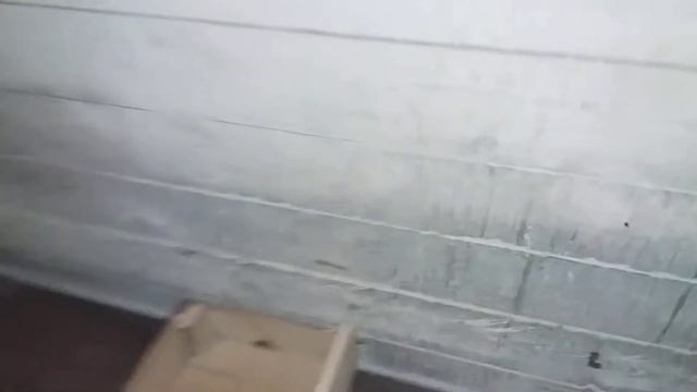 Клетки для свиноматок . смотреть онлайн