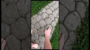 Садовая дорожка спустя год