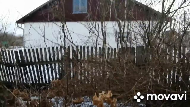 ЧУДЕСА ПРОДОЛЖАЮТСЯ-ИХ СТАЛО УЖЕ ТРОЕ!НЕЗАБУДКА ОТЕЛИЛАСЬ!ЗАКАЗАЛА ЛУК СЕВОК 4 СОРТОВ!ВЗОШЛИ ТОМАТЫ смотреть онлайн