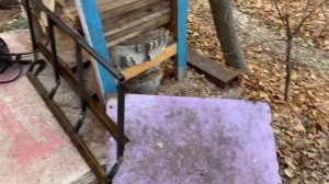 Отвал для квадроцикла своими руками baltmotors 500efi