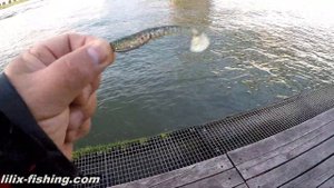 Сплит-шот для начинающих