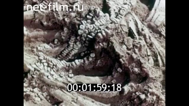 1967г. г. Владимир. Сунгирь. археологические раскопки. Бадер О.Н.  Герасимов М.М.