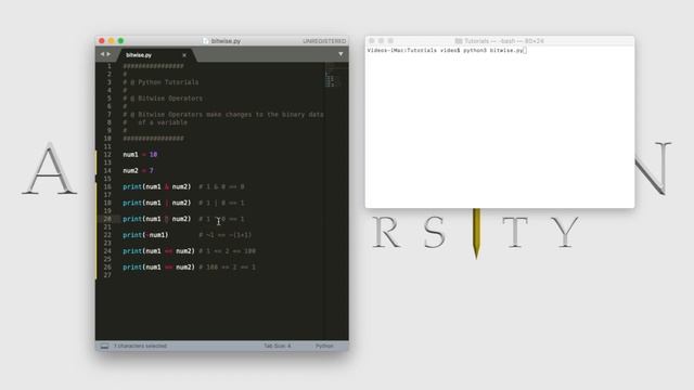 Python - Bitwise Operators смотреть онлайн